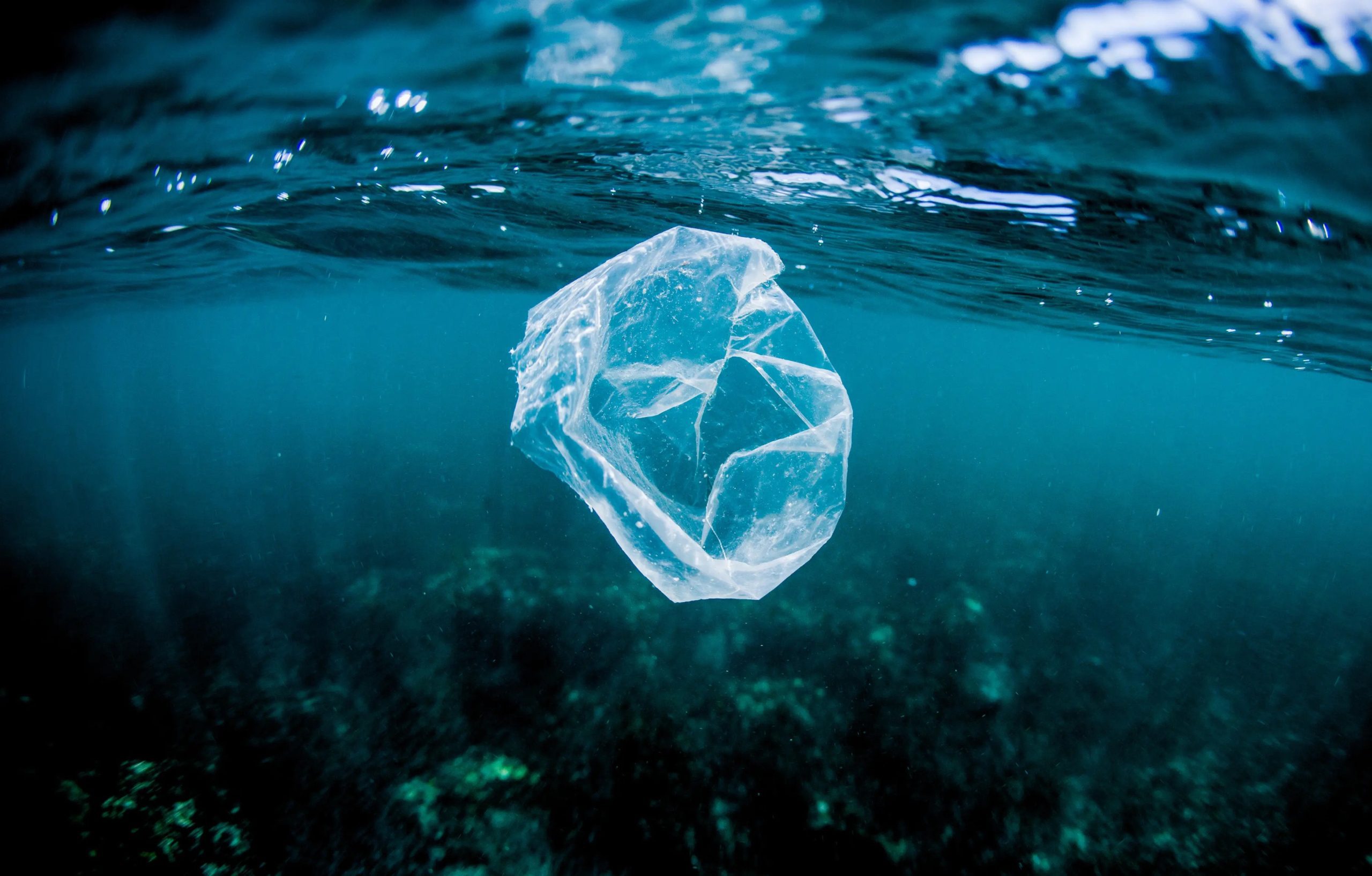 These skateboards and sunglasses are cleaning up the oceans