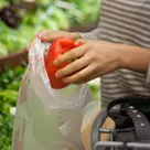 produce bags