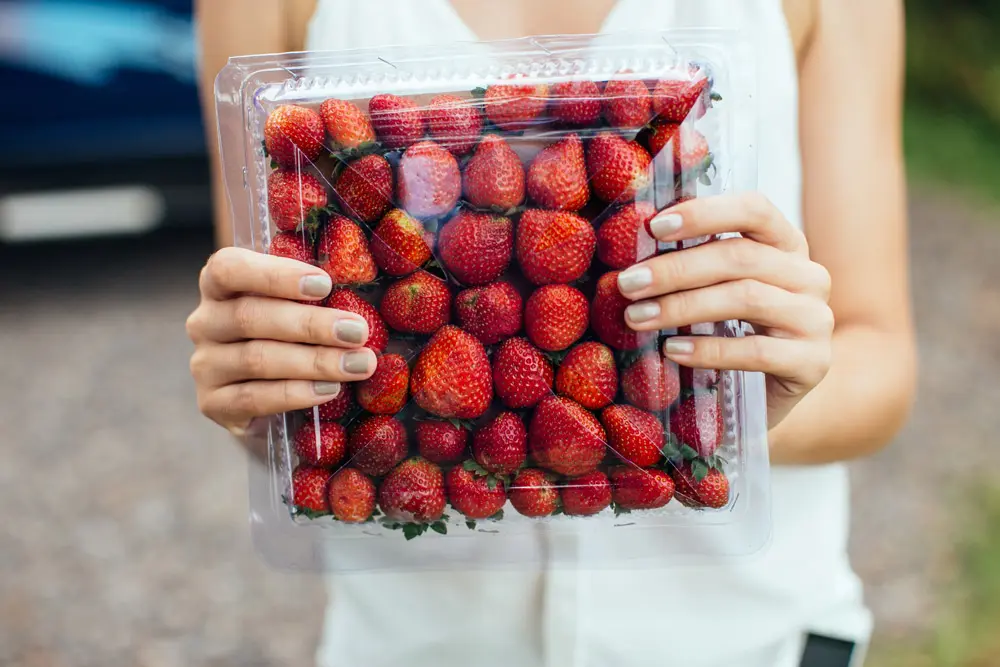 Strawberries in plastic box in female hands.
