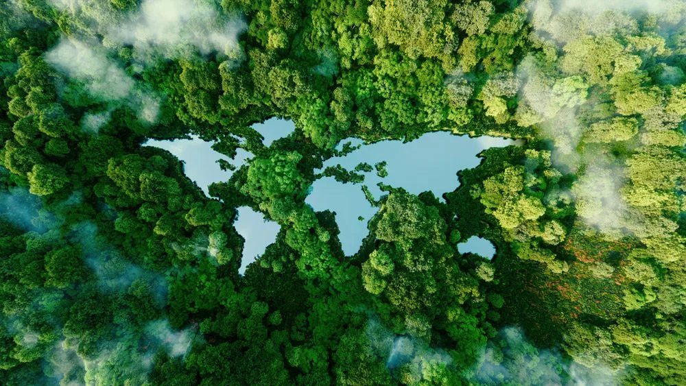 A lake in the shape of the world's continents