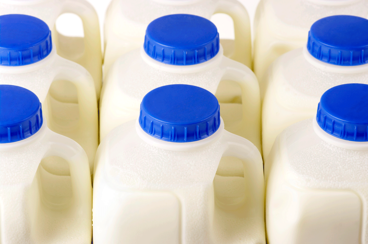 Pint Milk Containers Arranged In Rows