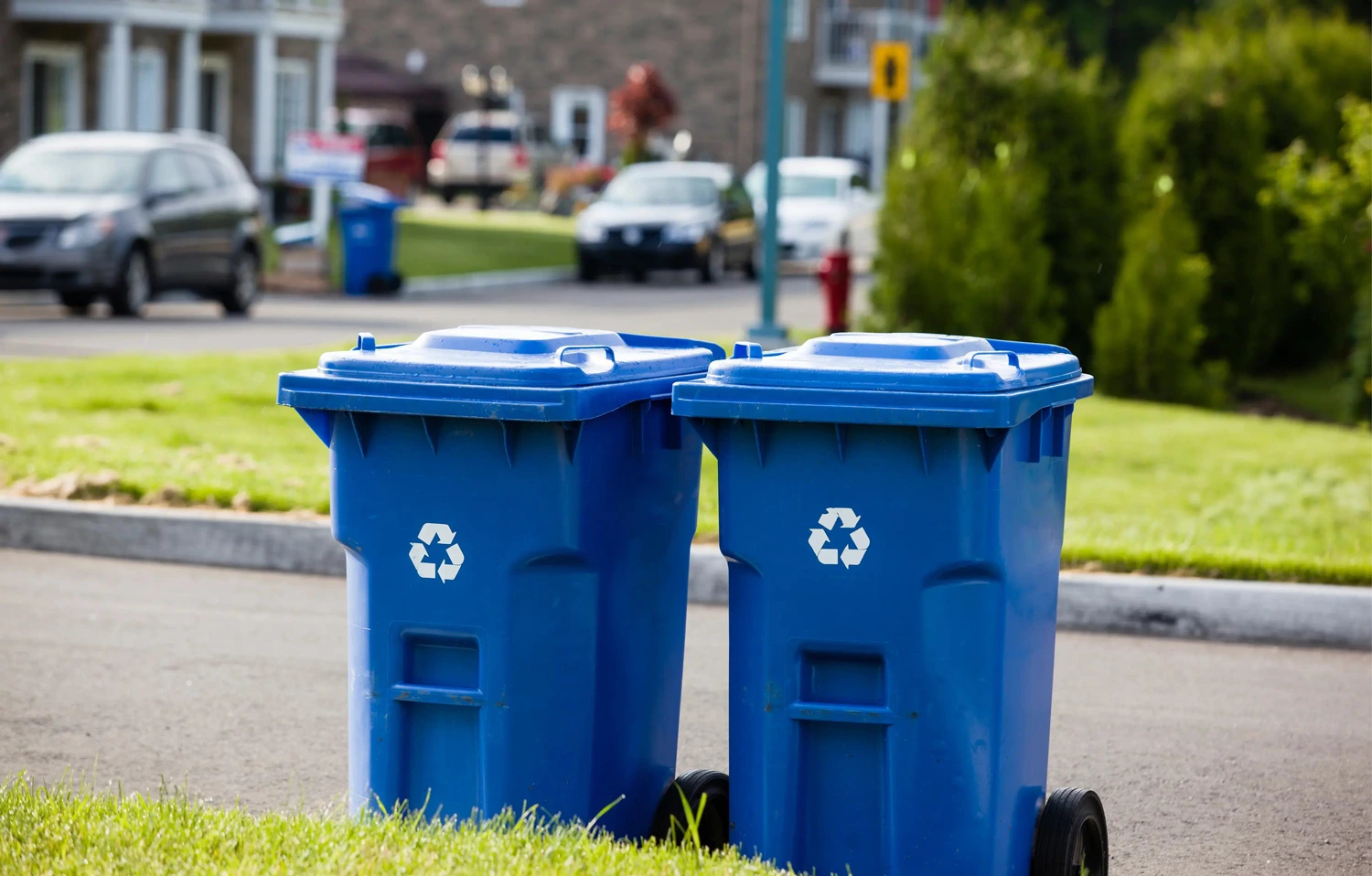 Two recycling bins on the curb